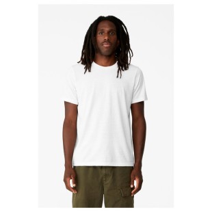 Bella + Canvas Unisex EcoMax T-Shirt